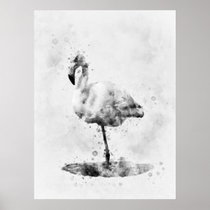 Affiche Flamant noir et blanc aquarelle 01