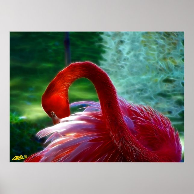 Affiche Flamant rose (Devant)