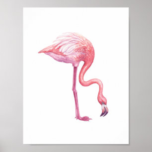 Affiche Flamant rose