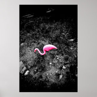 Affiche flamant rose