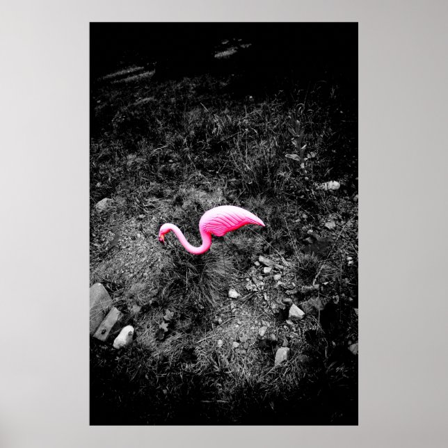 Affiche flamant rose (Devant)