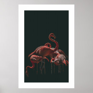 Affiche Flamant rose