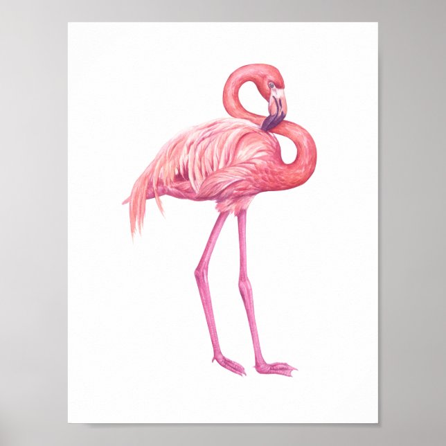 AFFICHE FLAMANT ROSE 2 (Devant)