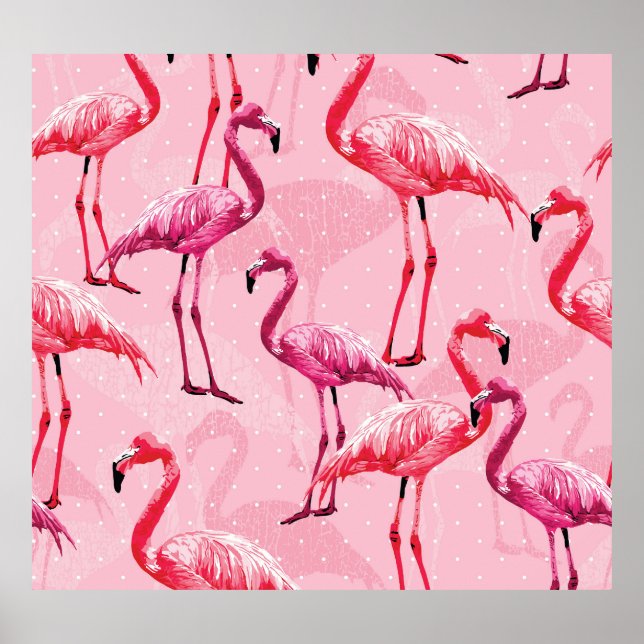 Affiche Flamant rose Elégance : Motif d'oiseaux roses. (Devant)