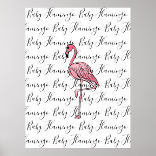 Affiche Flamant rose flamant rose, oiseau tropical rose