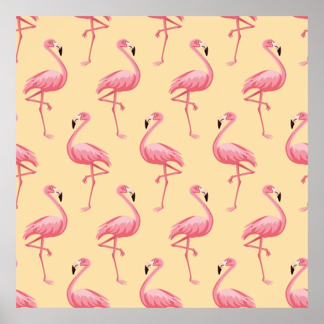 Affiche Flamant rose motif arrière - plan transparent. Fla (Devant)