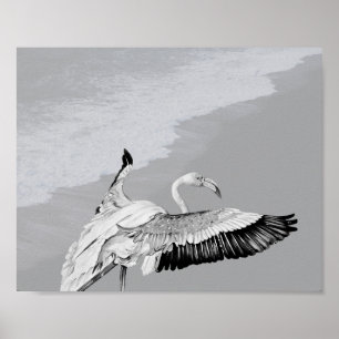 Affiche Flamant rose noir et blanc Art tropical imprimable