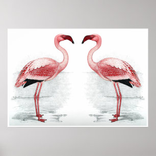 Affiche FLAMANT ROSE PARKING Flamant rose Flock Art Imprim