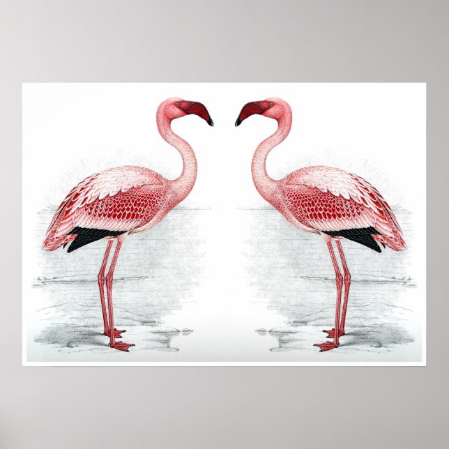 Affiche FLAMANT ROSE PARKING Flamant rose Flock Art Imprim (Devant)
