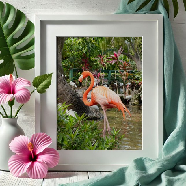Affiche Flamant rose rose Décor Photographie Bonita Spring (Tropical gifts pink flamingo photography Wonder Gardens Bonita Springs by Victoria Grigaliunas)