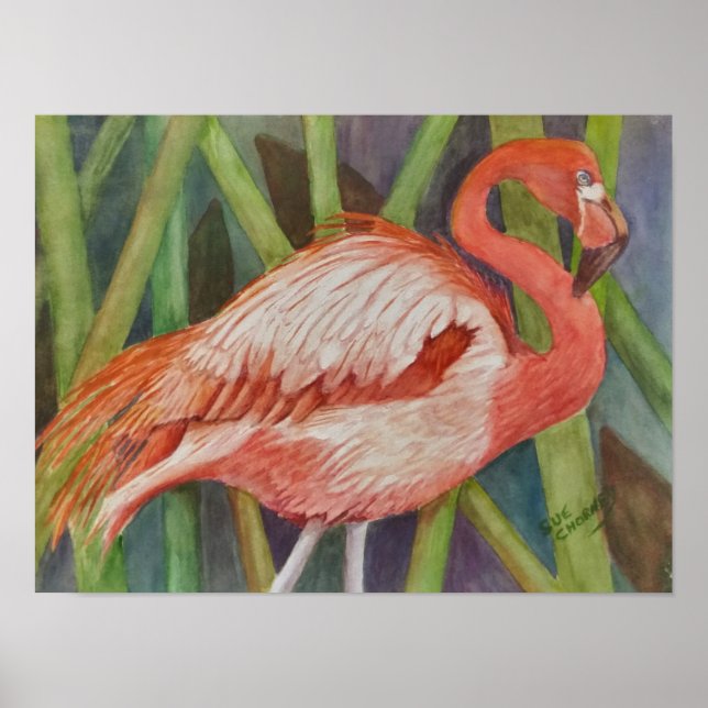 Affiche Flamant rose rose exceptionnel (Devant)