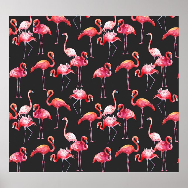 Affiche Flamant rose rose : Motif d'aquarelle tropicale. (Devant)