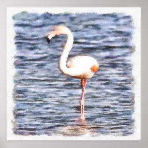 Affiche Flamant rose sauvage