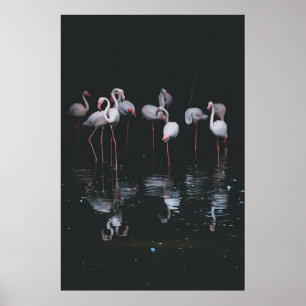 AFFICHE FLAMANT ROSE SUR ARRIÈRE - PLAN SOMBRE