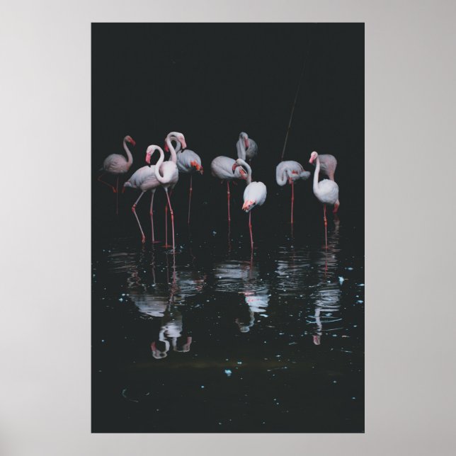 AFFICHE FLAMANT ROSE SUR ARRIÈRE - PLAN SOMBRE (Devant)