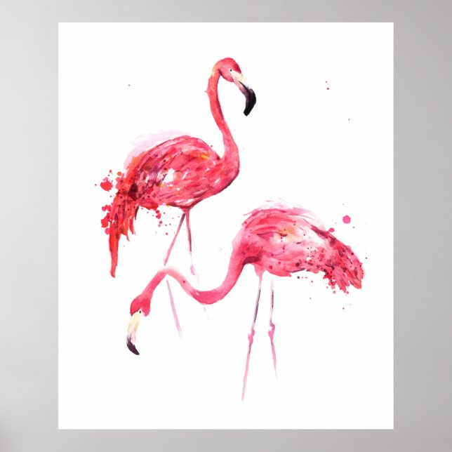 Affiche Flamants aquarelles (Devant)