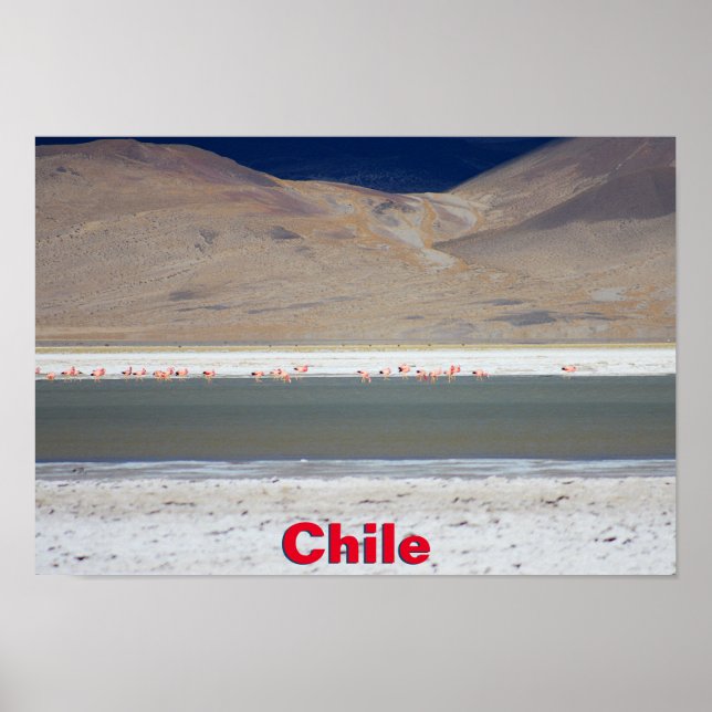 Affiche Flamants roses à Salar del Huasco, Chili (Devant)