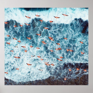 Affiche Flamants roses des Caraïbes : La scène de vol de l