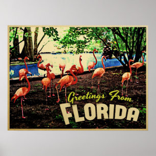Affiche Flamants roses roses de Floride