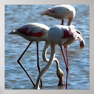 Affiche Flamants roses Temps d'alimentation Peinture acryl