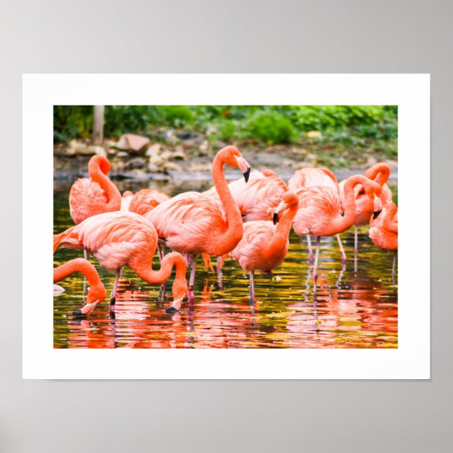 Affiche Flamengo (Devant)
