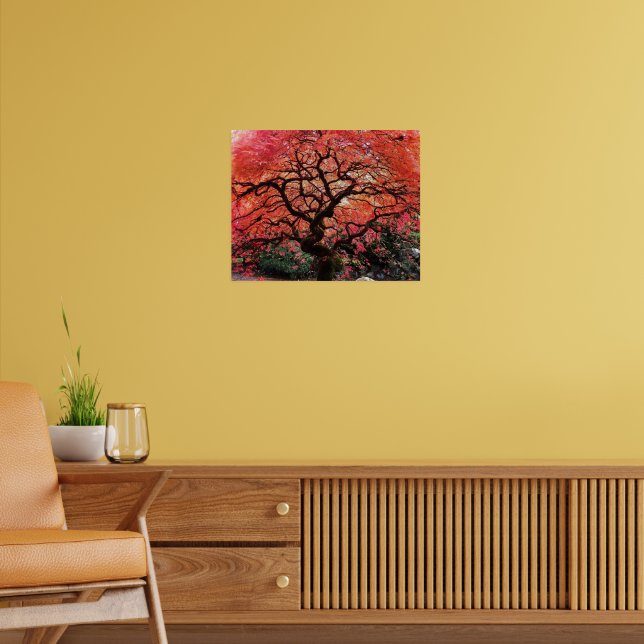 Affiche Flaming Gnarly Japanese Maple Tree (Salon 2)