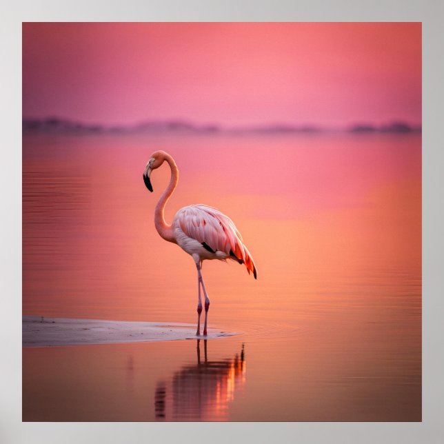 Affiche Flamingo Grace Blush Or (Devant)