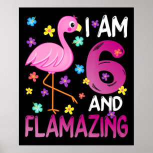 Affiche Flamingoo I Le 6 Flamazing Amazing 6e Birthday