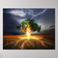 flash-845848 ARBRE D'ÉCLAIRAGE D'IMAGINAIRE BACKGR