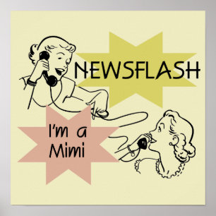 Affiche Flash d'information je suis les T-shirts un Mimi e