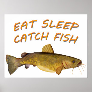 Affiche Flathead Catfish
