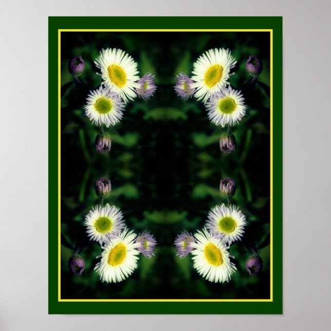 Affiche Fleabane sauvage Fleur de marguerite Gros plan Abs (Devant)