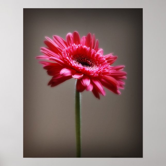 Affiche Fleur (Devant)