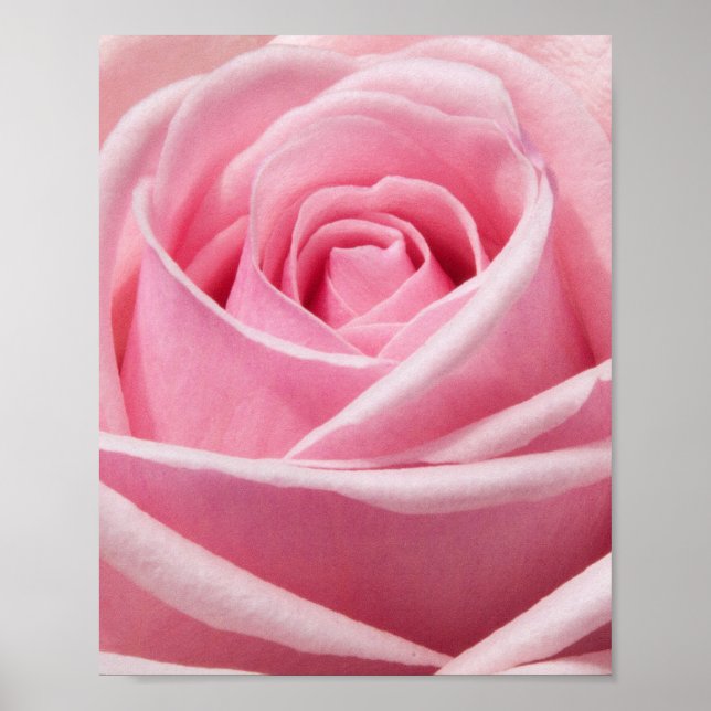 Affiche Fleur (Devant)