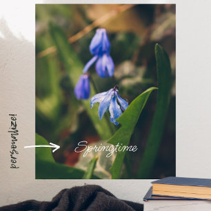Affiche Fleur à ressort bleu