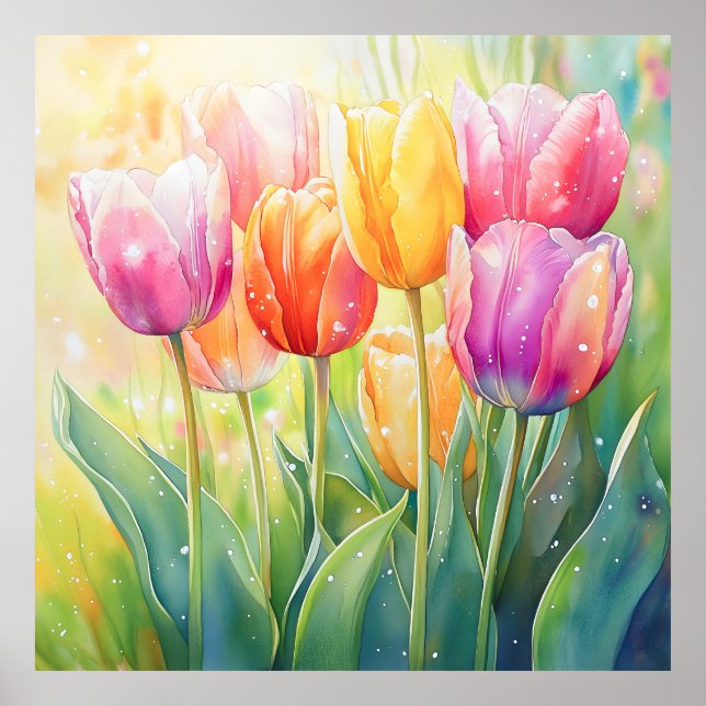 Affiche Fleur Aquarelle Ressort Jardin Tulip (Devant)