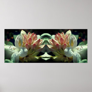 Affiche Fleur Azalée Blanche Et Miroir Boule Abstrait