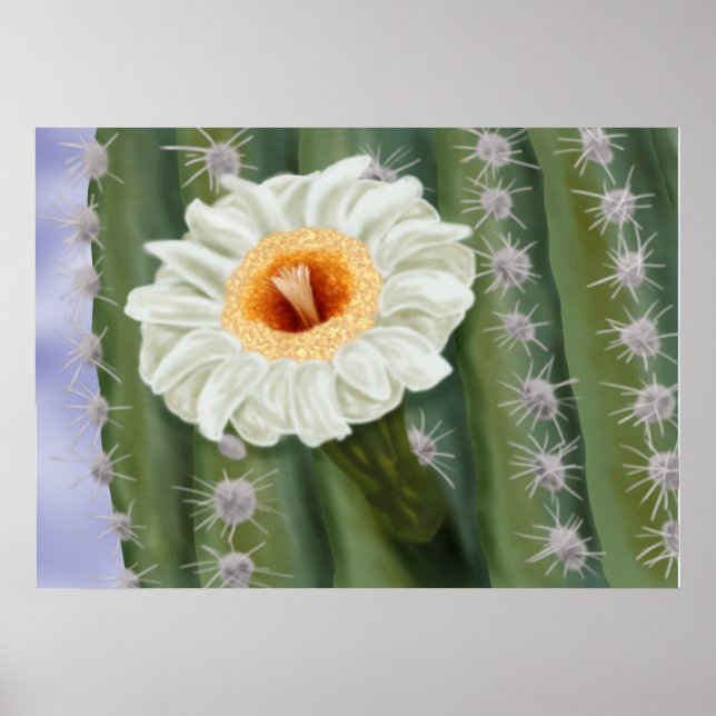 Affiche Fleur blanche Saguaro Cactus illustrée (Devant)