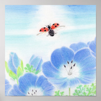 Affiche Fleur bleue de printemps coccinelle Nemophila Nurs