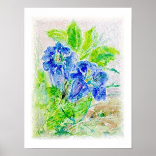 Affiche Fleur bleue Illustration
