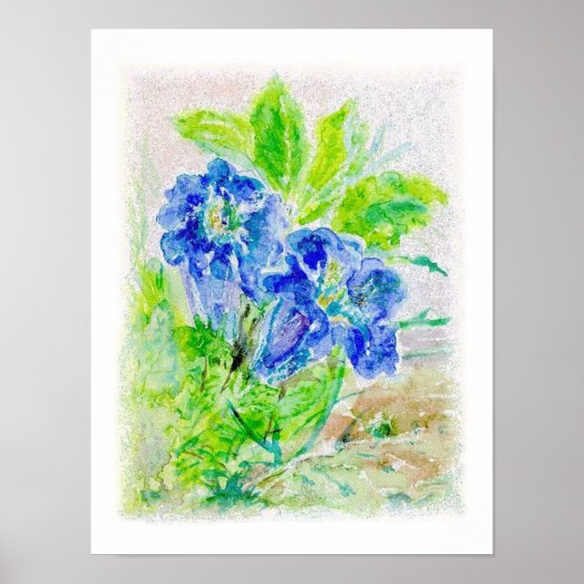 Affiche Fleur bleue Illustration (Devant)