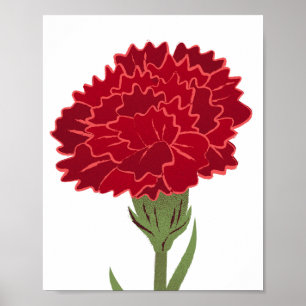Affiche Fleur Carnation Rouge