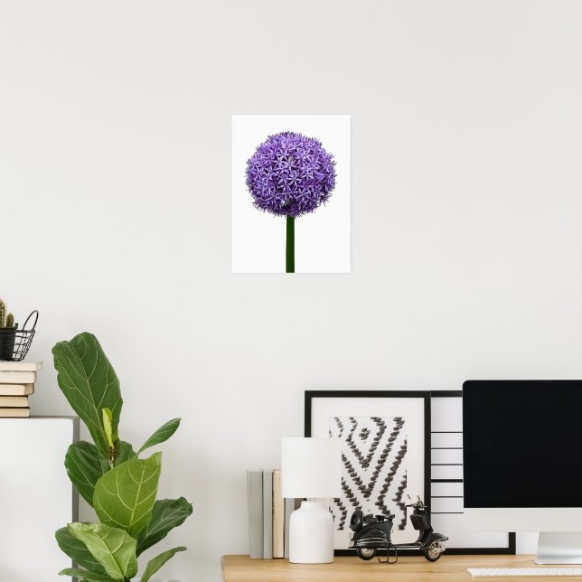 Affiche Fleur d'Allium pourpre sur fond blanc (Bureau à domicile)