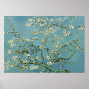Affiche Fleur d'amande de Vincent Van Gogh
