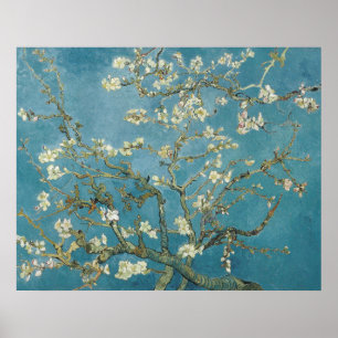 Affiche Fleur d'amandier de Van Gogh