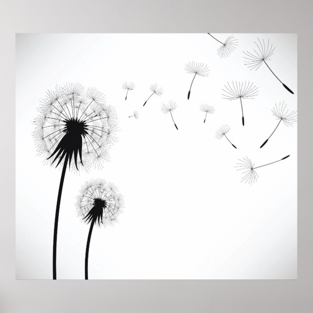 Affiche Fleur Dandelion (Devant)
