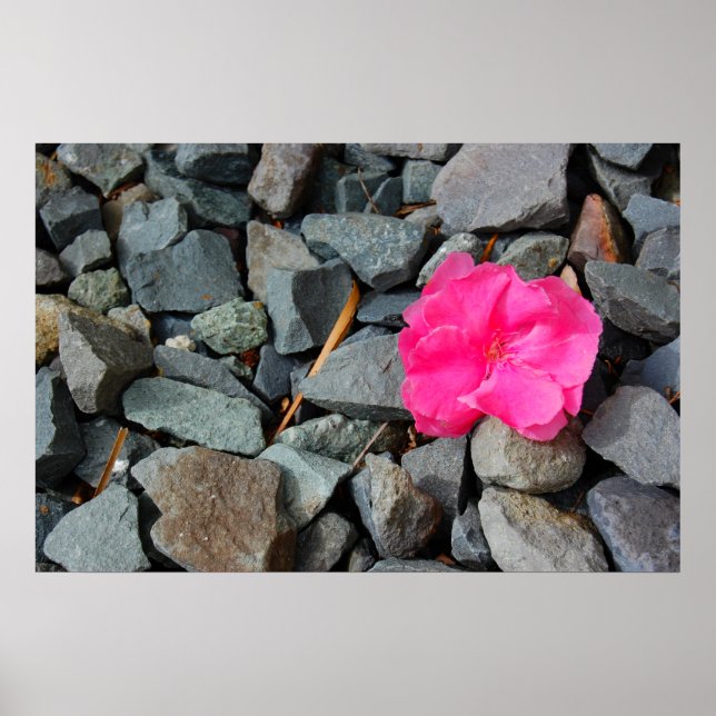 Affiche "Fleur dans la toux" (Devant)