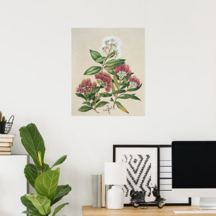 Affiche Fleur de Arbuste Vintage