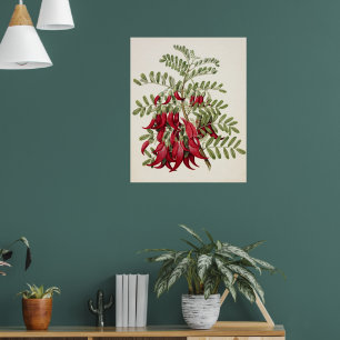 Affiche Fleur de bec de Kaka rouge vintage, art botanique