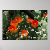 Fleur de cactus à poires orange